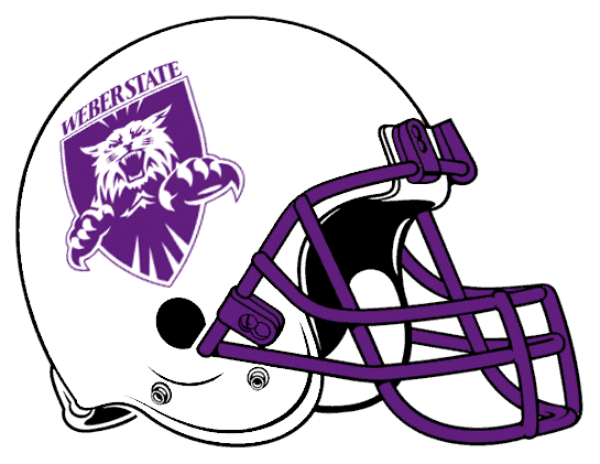Weber State Wildcats 2001-2005 Helmet Logo iron on transfers for clothing